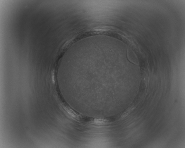 X0000072960758200607211157