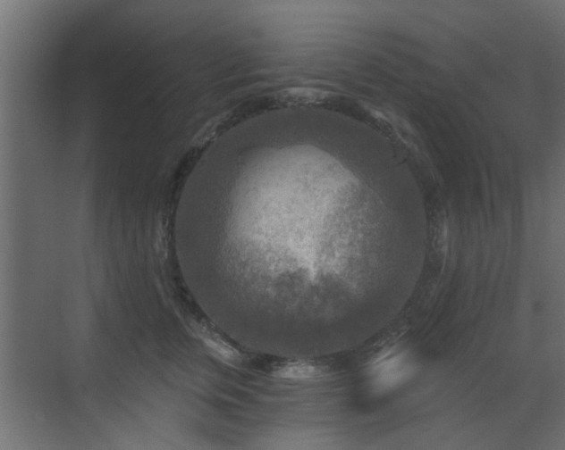 X0000072960759200607211157