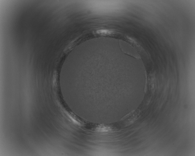 X0000072960760200607211157