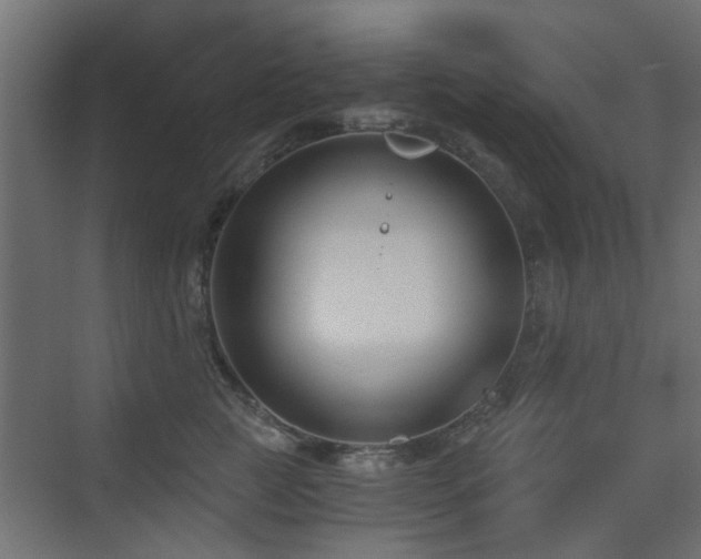 X0000072960761200607211157