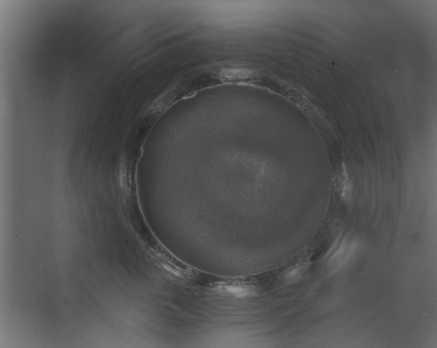 X0000072960763200607211157