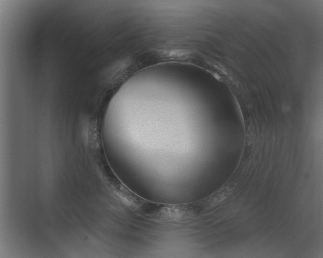 X0000072960764200607211157