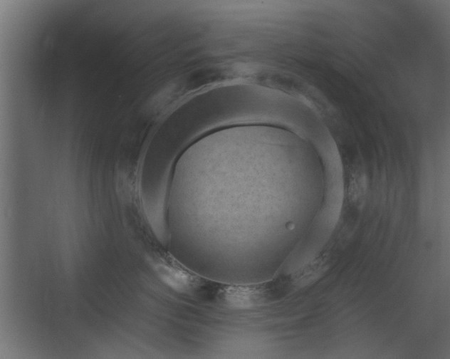 X0000072960766200607211157