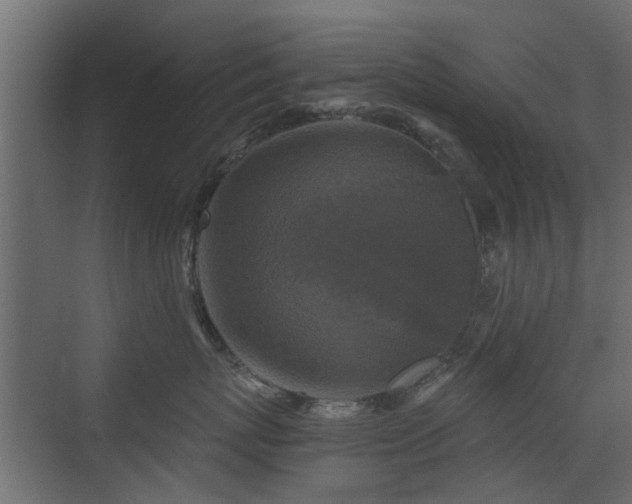 X0000072960767200607211157