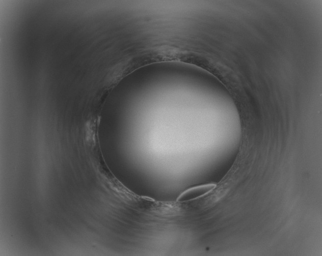 X0000072960768200607211157