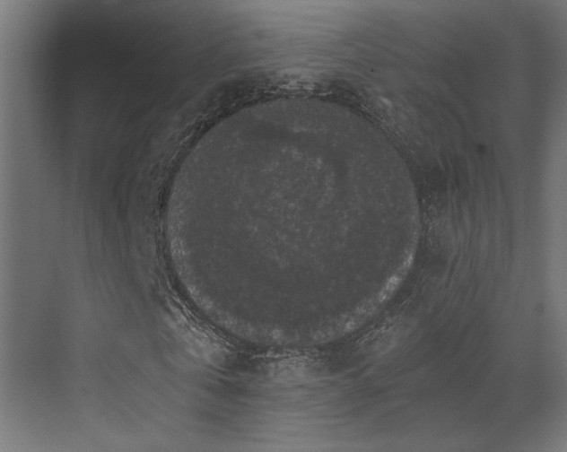 X0000072960769200607211156