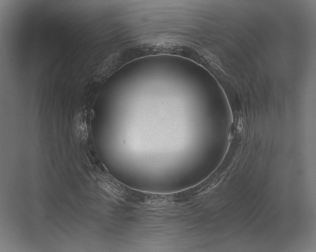 X0000072960771200607211156