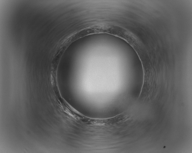 X0000072960773200607211156