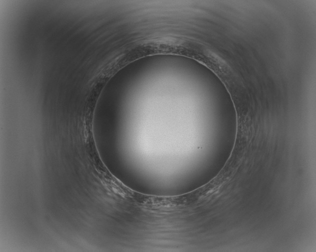 X0000072960774200607211156