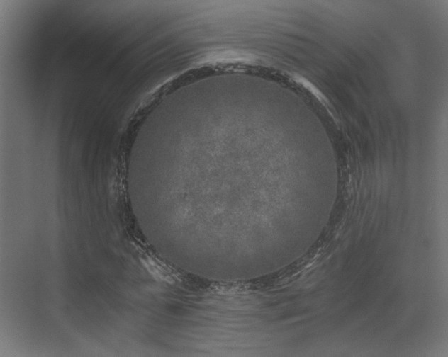 X0000072960775200607211156