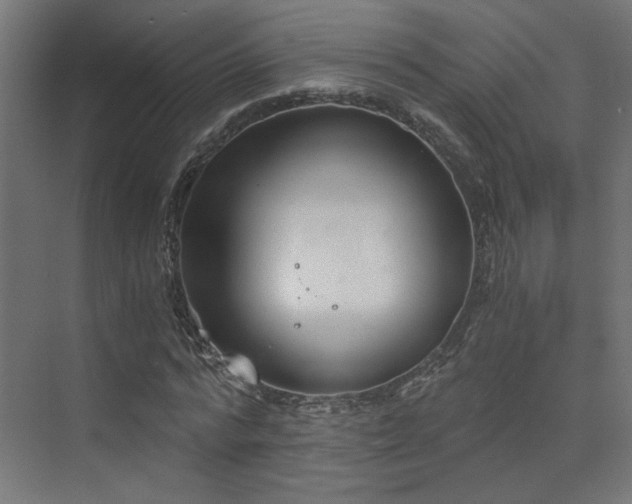 X0000072960776200607211156