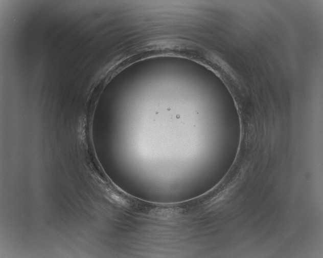 X0000072960778200607211156