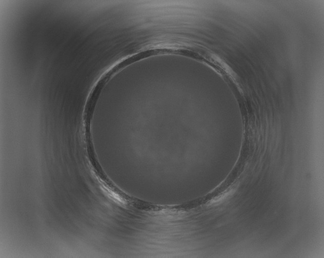 X0000072960779200607211156