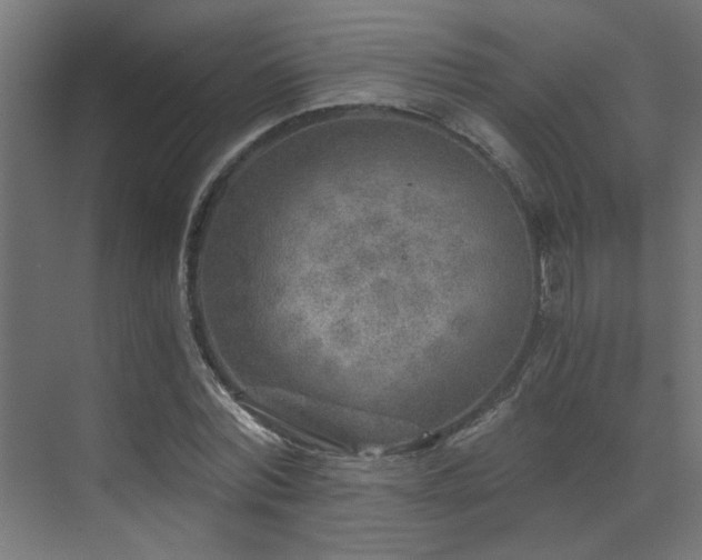 X0000072960780200607211156