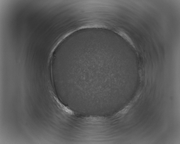 X0000072960781200607211156