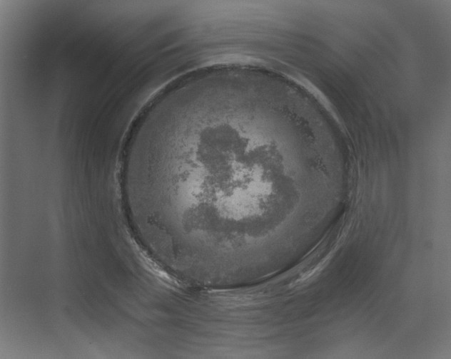 X0000072960783200607211156