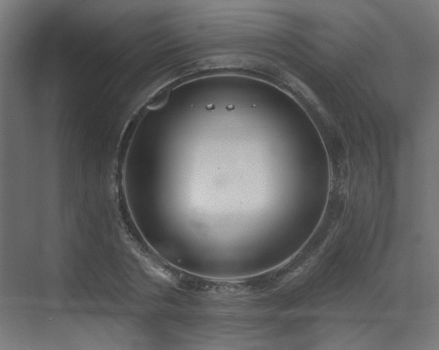 X0000072960786200607211156