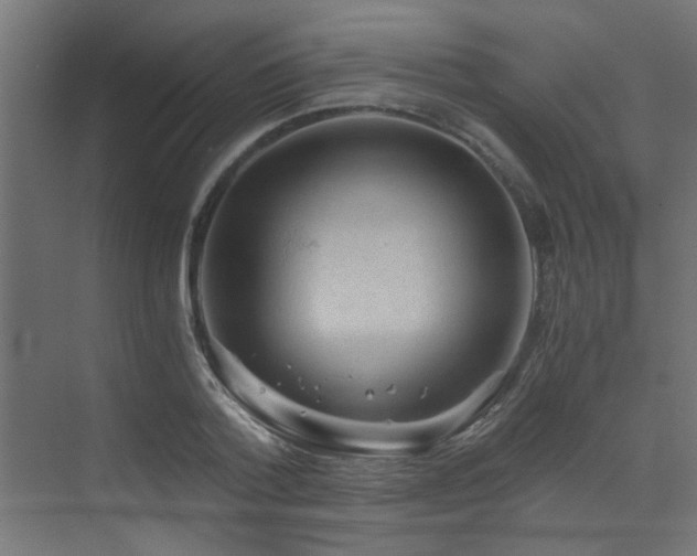 X0000072960788200607211156