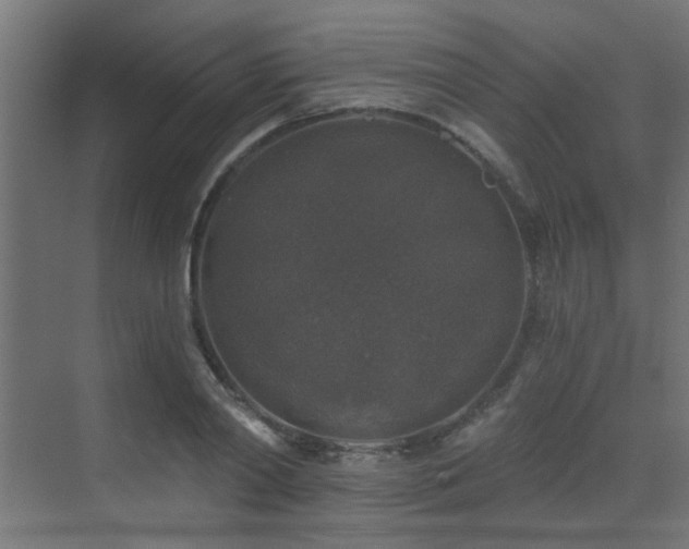 X0000072960790200607211156