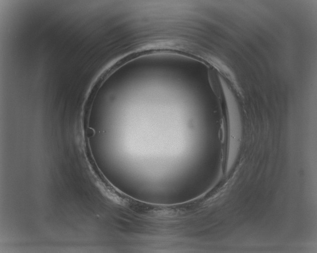 X0000072960792200607211156