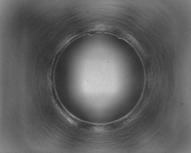 X0000072960794200607211156