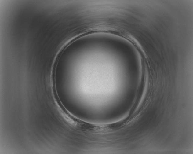 X0000072960795200607211156