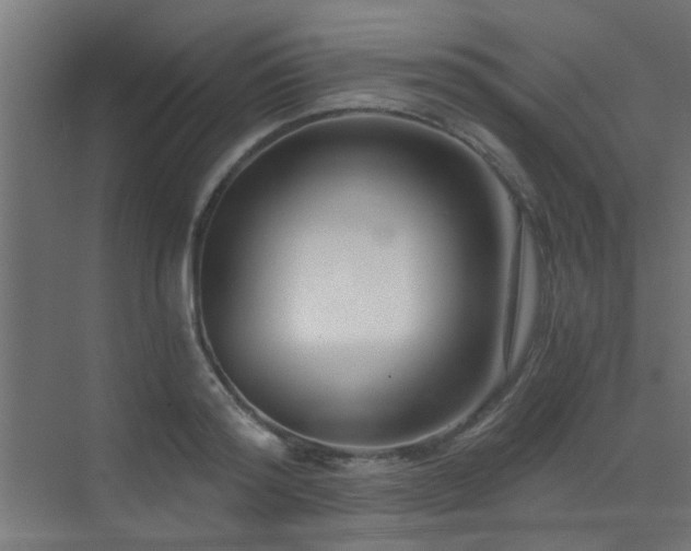 X0000072960796200607211156