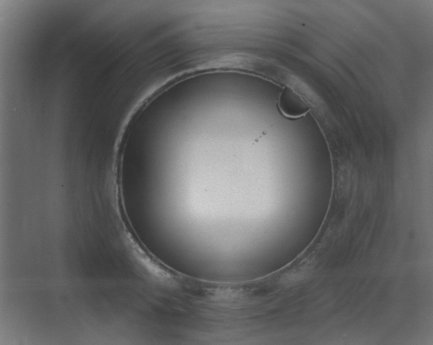 X0000072960800200607211156