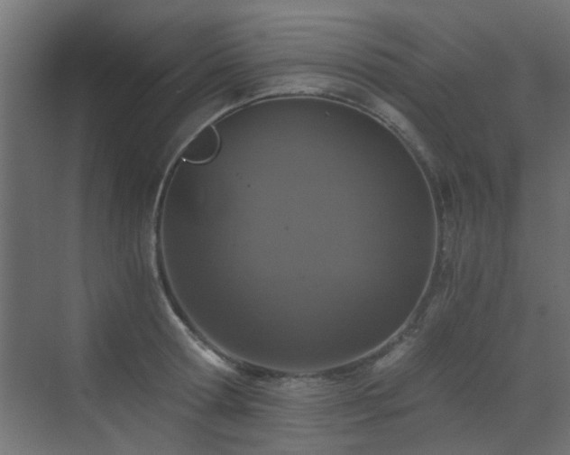 X0000072960802200607211156