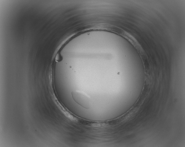 X0000072960804200607211156