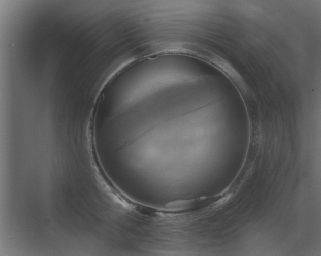 X0000072960806200607211156