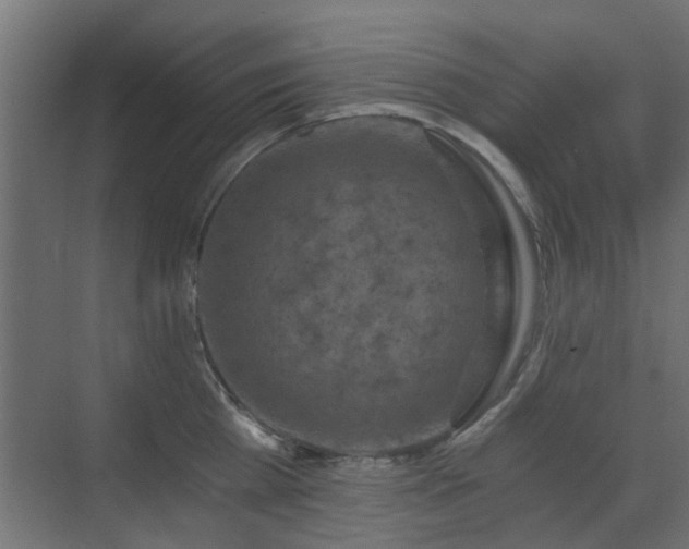 X0000072960809200607211156