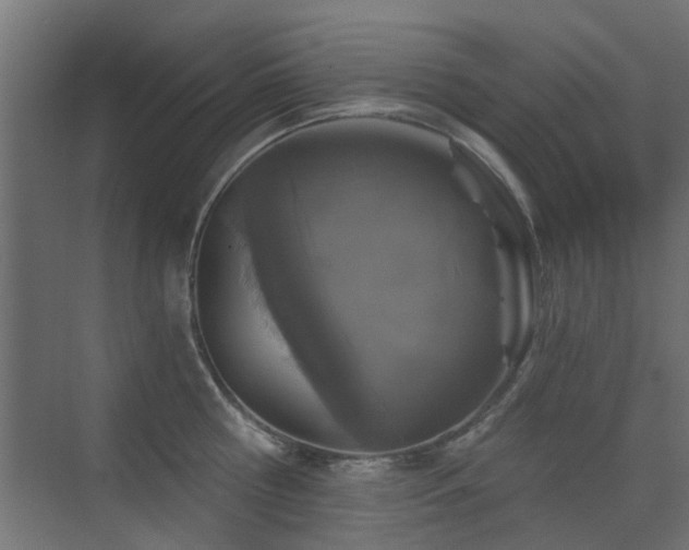 X0000072960810200607211156