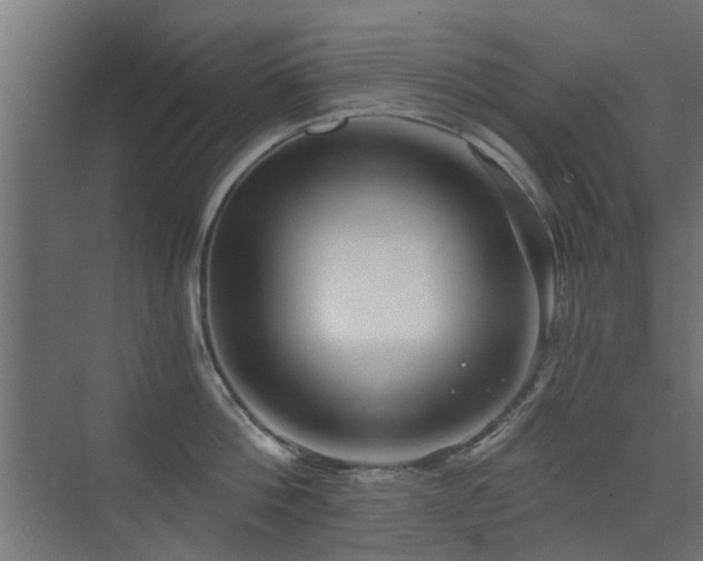 X0000072960812200607211155