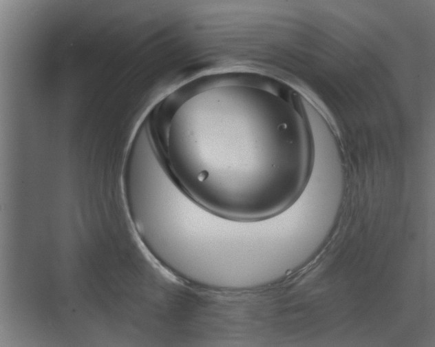 X0000072960813200607211155