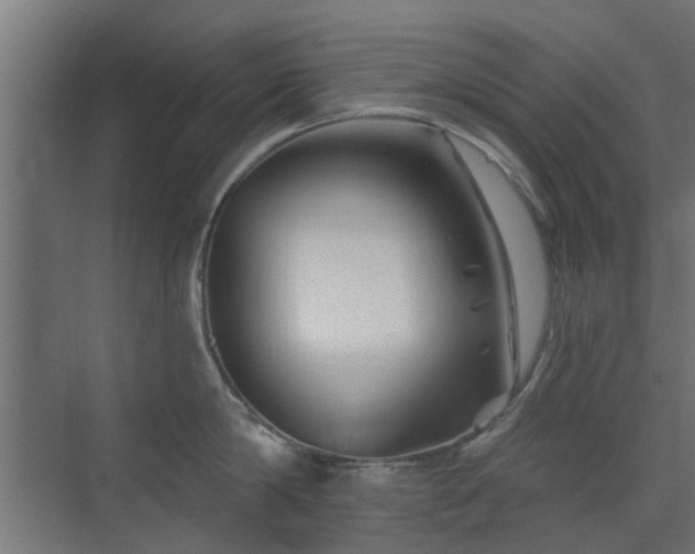 X0000072960814200607211155