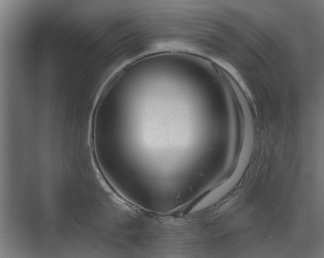 X0000072960815200607211155