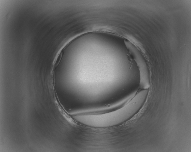 X0000072960816200607211155