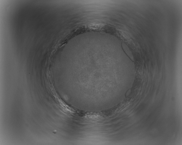 X0000072960817200607211155