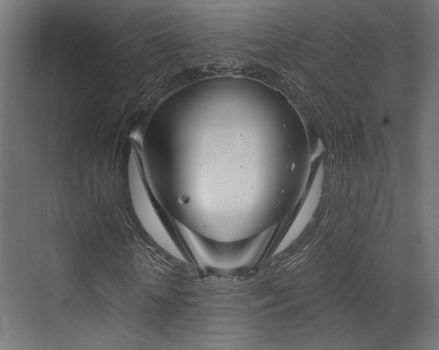 X0000072960818200607211155