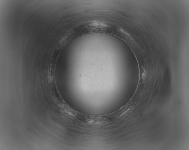 X0000072960819200607211155