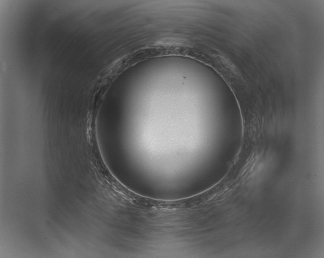 X0000072960821200607211155