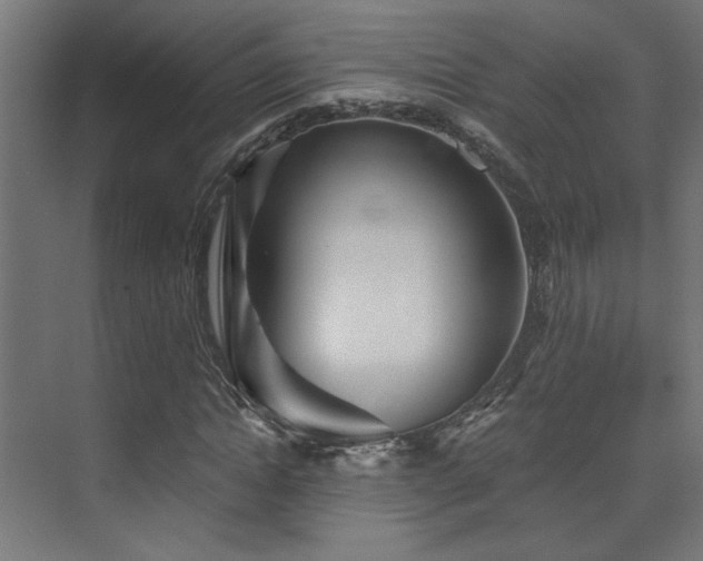 X0000072960822200607211155