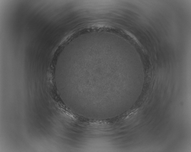 X0000072960823200607211155