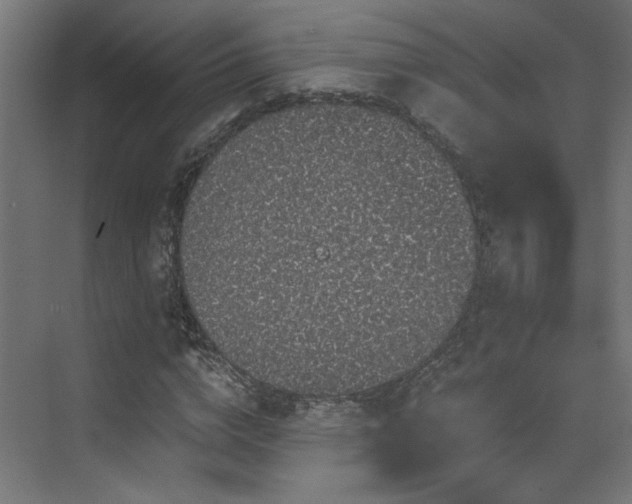 X0000072960824200607211155