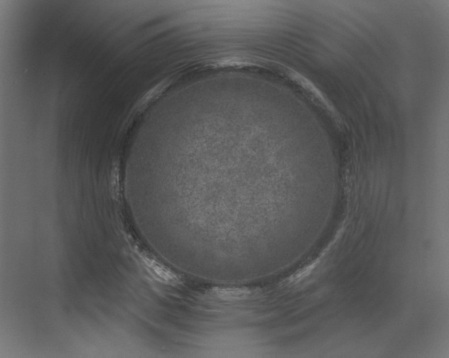 X0000072960825200607211155