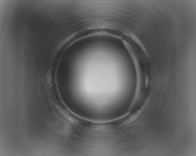 X0000072960826200607211155