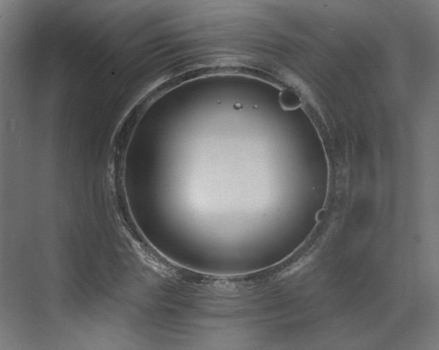 X0000072960827200607211155