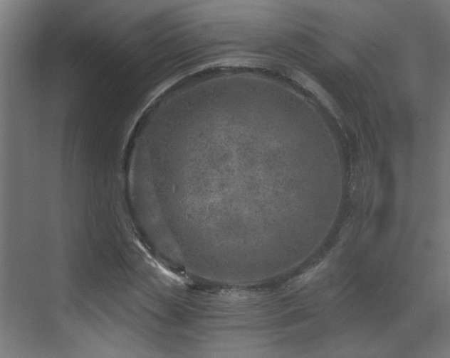 X0000072960829200607211155