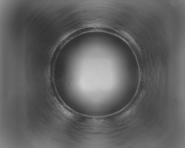 X0000072960831200607211155